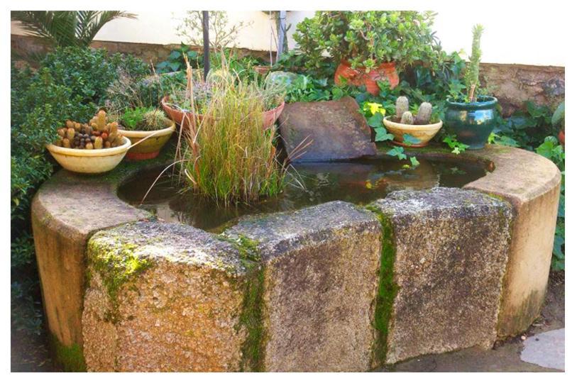 Casa Rural Valdevilano La Roca de la Sierra Eksteriør bilde